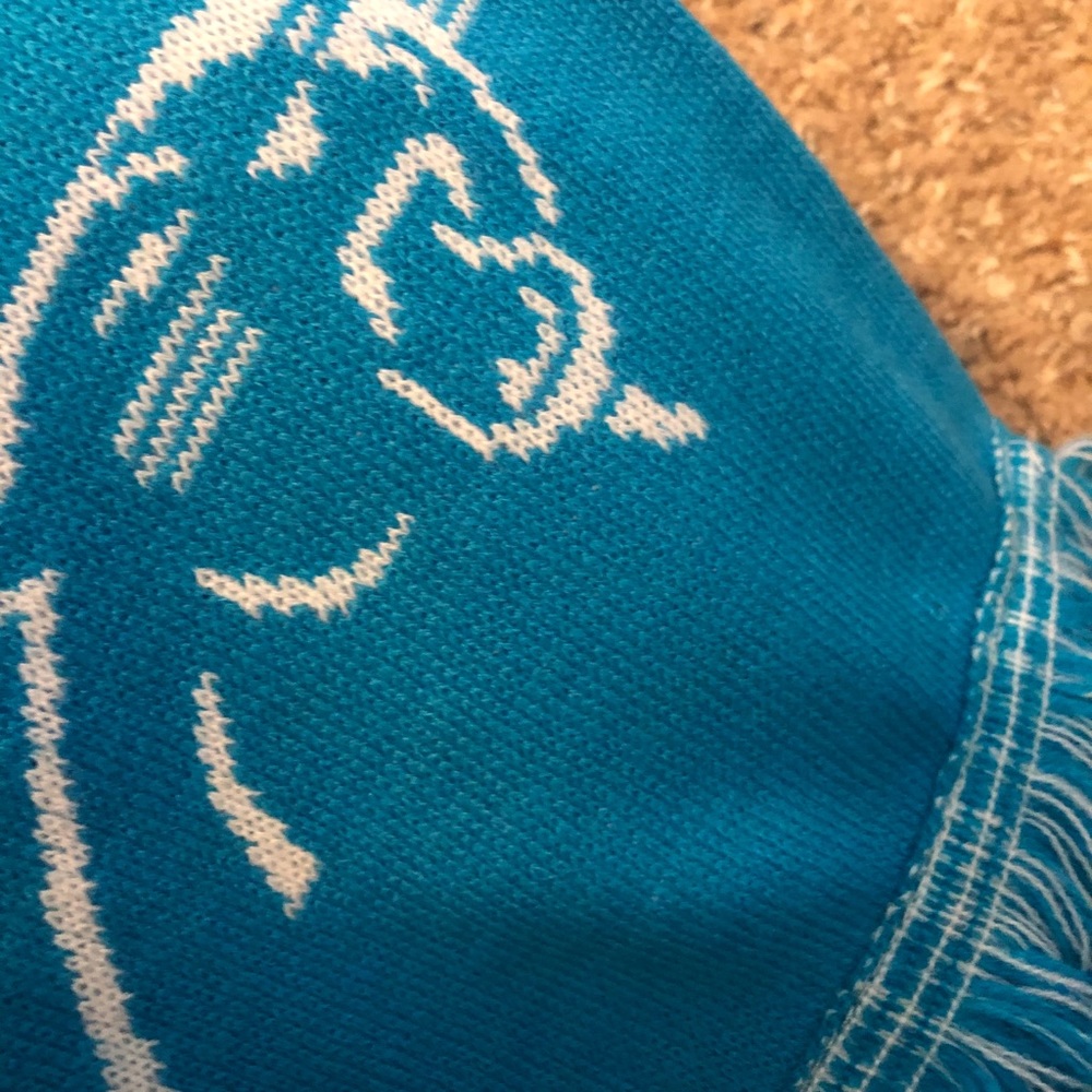 Carolina panthers scarf